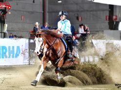 Maturity 2026 - DANIELLE AZARIA & WIMPYS DUNNIT AGAIN score 217