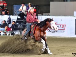 Maturity 2026 - NICOLA BRUNELLI & SP LEOLENA GUN score 220