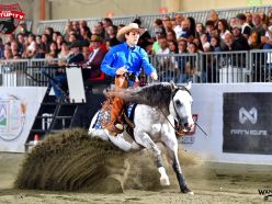 Maturity 2026 - ANDREA PICCINALI & SPRINGBREAKPARTYWHIZ score 217