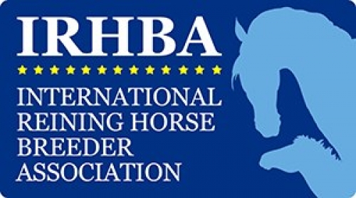 IRHBA Nomination Program: deadline 31 dicembre 2019