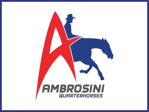 Ambrosini Quarter Horses
