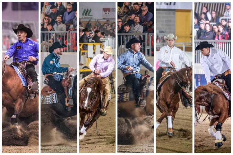 2019 IRHA-IRHBA-NRHA 3 Yrs Old Futurity Champions